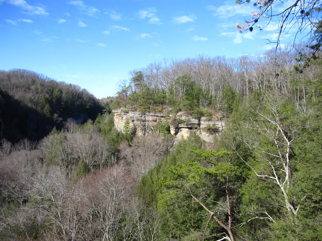 Sandstone cliffs and wooded valley seen from above at Conkle’s Hollow in late autumn